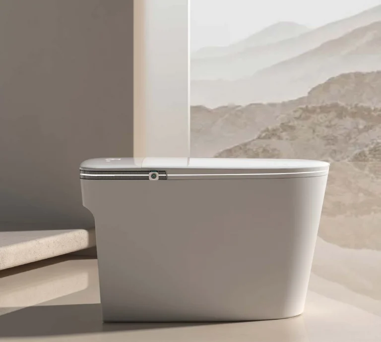 Home 24 Modern-toilet-design-by-a-leading-sanitary-ware-manufacturer-showcasing-sleek-and-innovative-craftsmanship