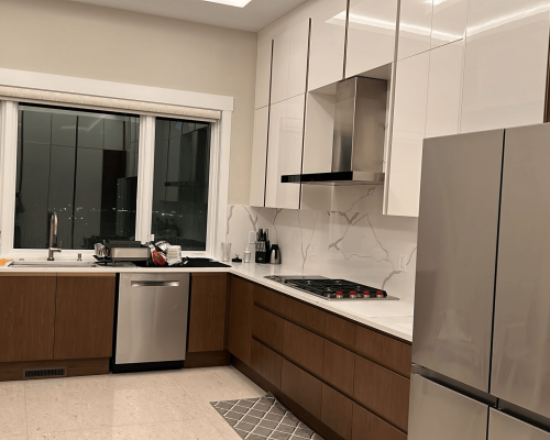 Pittsburgh High-end Full House Custom in America 8 Pittsburgh-high-end-whole-house-custom-kitchen-4