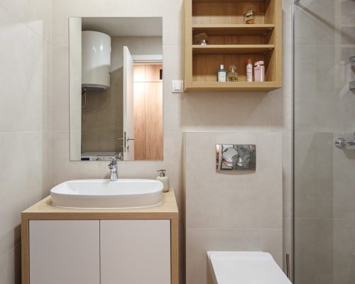 Zemun Stan Whole House custom in Serbia 12 Modern bathroom with a sink and custom cabinet in the Zemun stan decoration project.