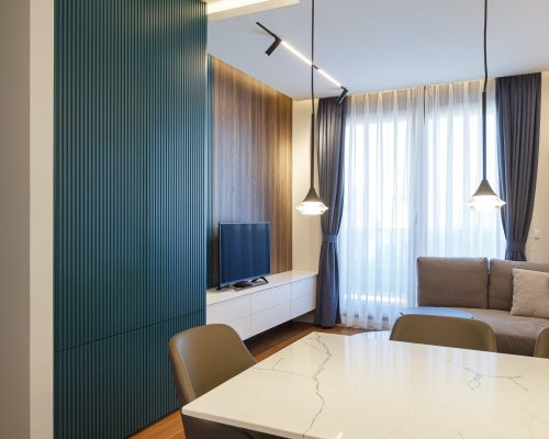 Zemun Stan Whole House custom in Serbia 5 Stylish living room design in the Zemun stan apartment project with modern furniture and a cozy atmosphere.